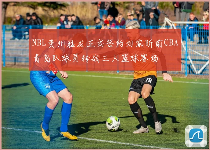 NBL贵州猛龙正式签约刘家昕前CBA青岛队球员转战三人篮球赛场
